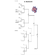 Majors & Minors Playoffs